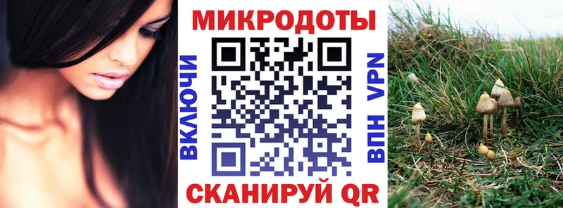 Галлюциногенные грибы GOLDEN TEACHER OMG Белореченск